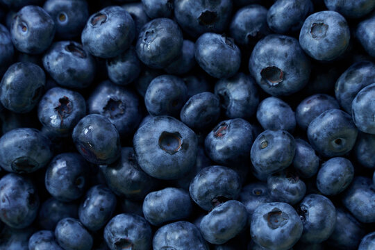 Flat lay raw blueberry natural pattern . High quality photo