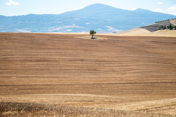 Obraz premium Il paesaggio estivo della Val D Orcia in toscana