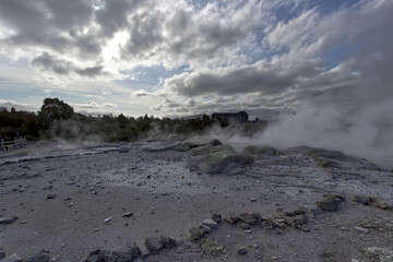 Rotorua New Zealand