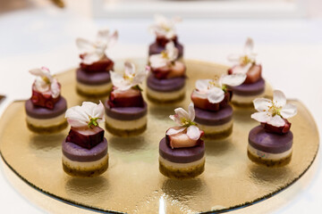 Catering, assorted snacks on plates