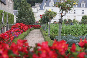 Jardin du chateau