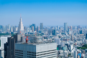 Fototapeta na wymiar 東京都庁からの景色
