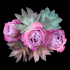 Succulents and pink roses isolated on black background. Floral arrangement, bouquet of flowers. Can be used for invitations, greeting, wedding card.