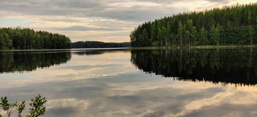 reflection of trees in water