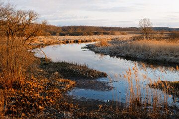 landscape with a small wild river, river banks covered with dry, old grass and fallen trees, early spring