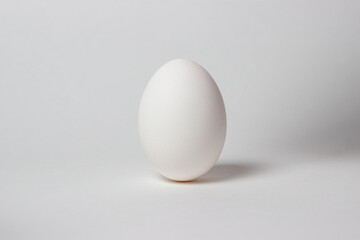Egg on a white background. White chicken egg