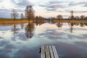 landscape with a small wild river, river banks covered with dry, old grass and fallen trees, early...