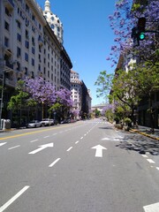 Avenida primaveral