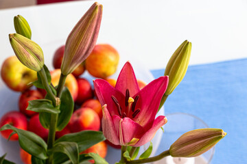 Blumen © Detlef Heuckendorf