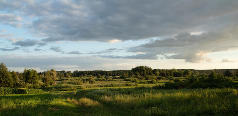 The river valley, lit by the evening sun, is overgrown with bushes and tall grass. Low before thunderclouds.