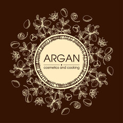 Frame with branch argan tree with fruits, nuts argans, leaves, flower argans Detailed hand-drawn sketches, vector botanical illustration.