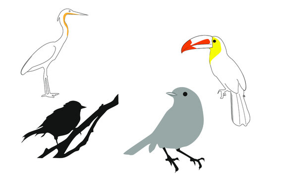 set of birds