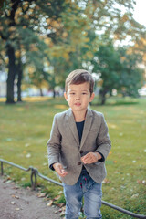 Little boy wearing stylish casual clothes walks in a park. Autumn time, yellow trees