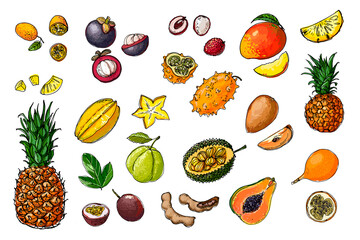 Fruits from Thailand. Food sketch lines. Kumquat, Carambola, Jackfruit, Granadilla, Passionfruit, Guava, Tamaring, Pineapple, durian. Fruits drawn by a line on a white background.