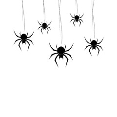 Black spiders hand drawn on white background.