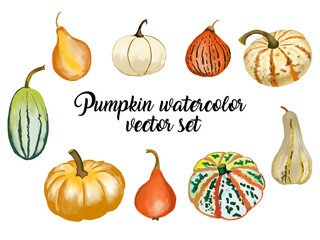 Watercolor pumpkins vector set isolated on white background