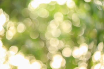 Obraz premium abstract green bokeh background