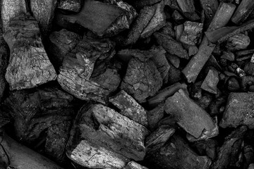 coal on the ground