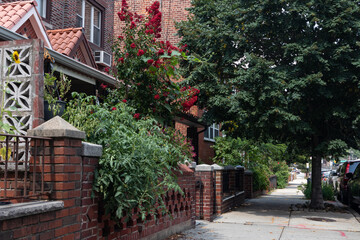 Fototapeta na wymiar Beautiful Neighborhood Sidewalk with Plants and Flowers in Home Gardens in Astoria Queens New York during Summer