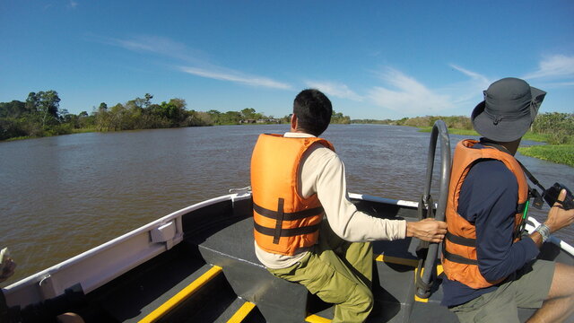 Manaus Golfinhos Botos