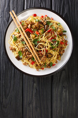 Hangzhou aubergines Rou mo qie zi served with egg noodles close-up in a plate on the table. vertical top view from above