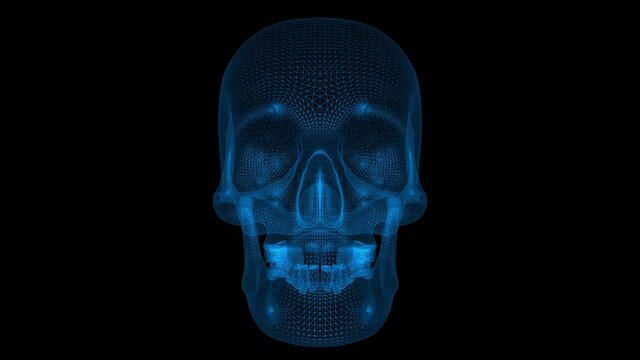 Skull 3d wireframe with thin blue lines. Anatomical futuristic hologram on black background. Loop animation