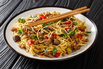 Meal Chinese Eggplant Stew with Minced Pork, noodles is a popular Sichuan cuisine and is very common in Chinese close-up in a plate on the table. Horizontal