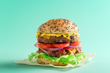 Burger isolated on a green background. Homemade large cheeseburger