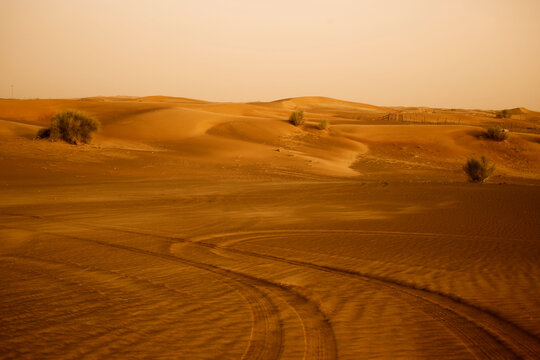 Warm landscape view of Dubai desert safari with tracks from quad buggy transport and plants 