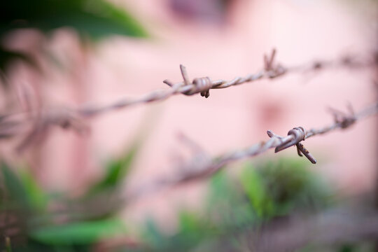 Barbed wire,close up