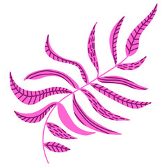Vector illustration of a tropical plant. Pink fern isolated on white background. Hand drawn branches and leaves