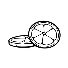 Lemon doodle slices. Vector black-and-white illustration isolated on a white background. Lemon.