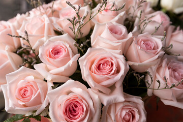 beautiful old rose in basket as background