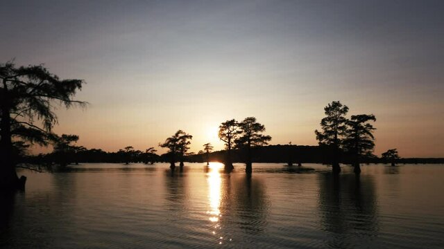 Boat ride in the sunset on the Caddo Lake, Texas