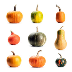 Set of different pumpkins isolated on white background. Image with largest resolution see in my portfolio