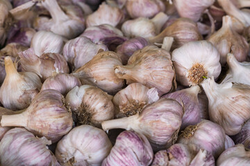 Fresh garlic displayed at farmers market.  Texture of pile of garlic.