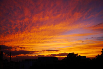 Obraz premium 석양