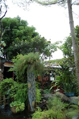 Fototapeta premium Beautiful view of the green plant in the garden