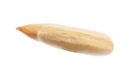 Raw peeled sunflower seed isolated on white