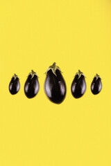 zucchini composition