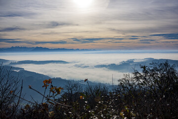 clouds over the forest