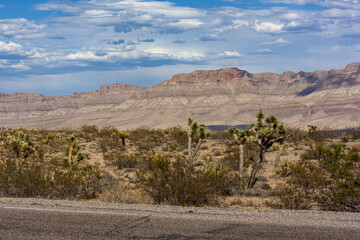 Road along the Gran Canyon