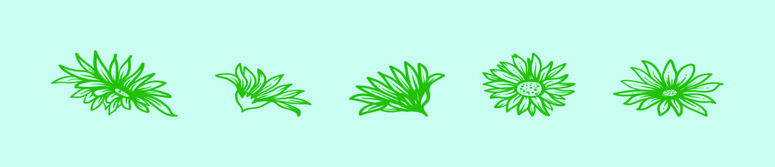 set of calendula flowers cartoon icon design template with various models. vector illustration isolated on blue background