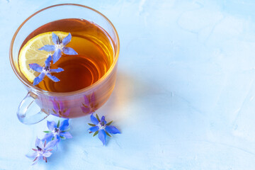 Mug of black tea and borage flowers on a blue background.