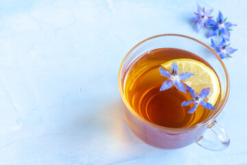 Mug of black tea and borage flowers on a blue background.