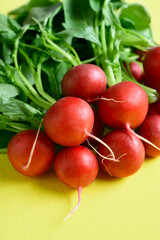 Radish bunch
