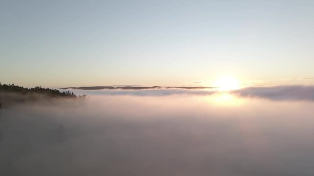 Drone shot over Bor&aring;s Sweden. Crossing the freeway, trees and a lake.