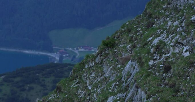 Scenic view Capricorn descends on the side  hill, aschensee lake in the background.