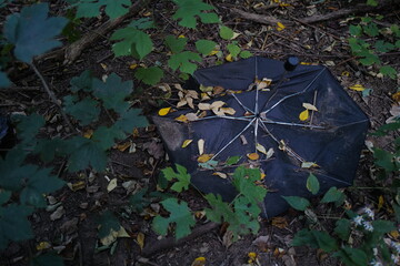 Sept 24, 2020 broken umbrella found in Prospect Park, Brooklyn, New York City, USA.