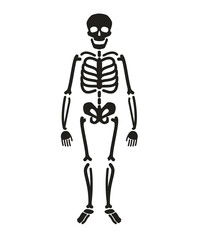 Full length skeleton silhouette. Halloween symbol vector